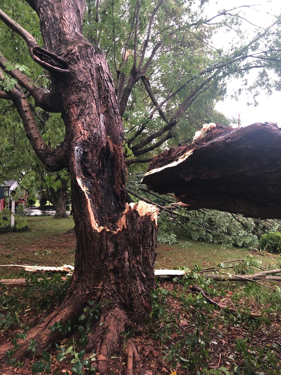 WSICnews's tweet image. UPDATE | More than 7,400 without power in Iredell following afternoon storm: wsicweb.com/?p=28617

📸: @allyst18