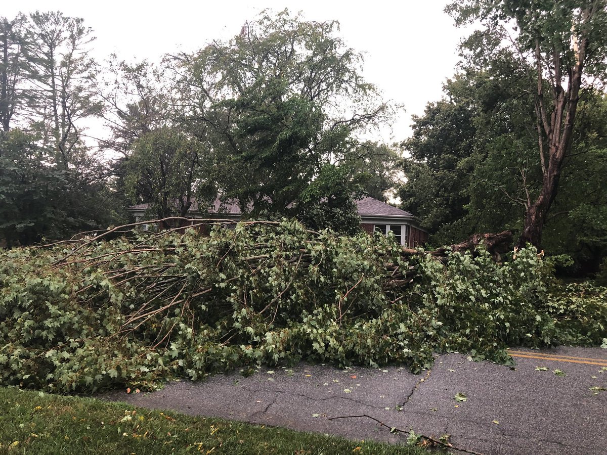 WSICnews's tweet image. UPDATE | More than 7,400 without power in Iredell following afternoon storm: wsicweb.com/?p=28617

📸: @allyst18