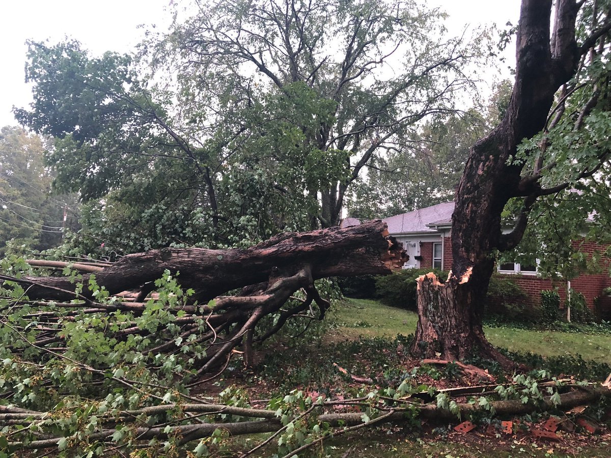 WSICnews's tweet image. UPDATE | More than 7,400 without power in Iredell following afternoon storm: wsicweb.com/?p=28617

📸: @allyst18