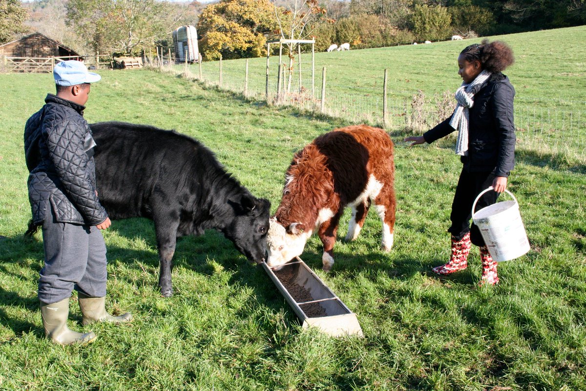 Jamie's Farm tweet media