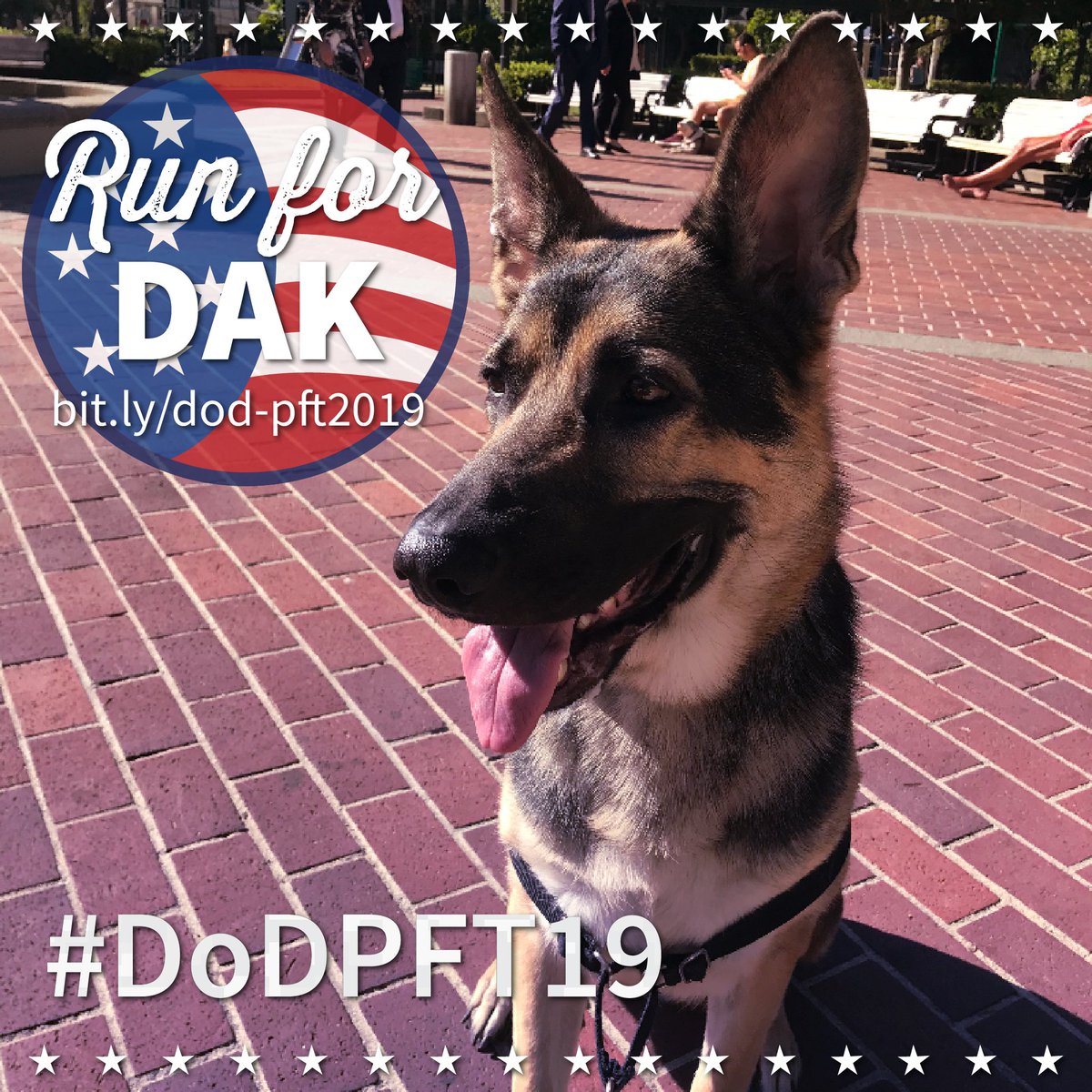 DogsonDeploymnt's tweet photo. Run for DAK! Owned by a US Coast Guard, Dak is being boarded by DoD Boarder, Lauren, in CA during his owner's military commitment. When you join our #DoDPFT19, you are helping pet's like Dak find temporary care during their owner's service commitments.🏃 https://t.co/80OTHvJ4Xw https://t.co/dCJRPZXhlM