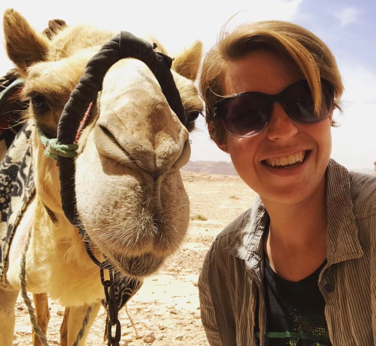 shextreme tweet media