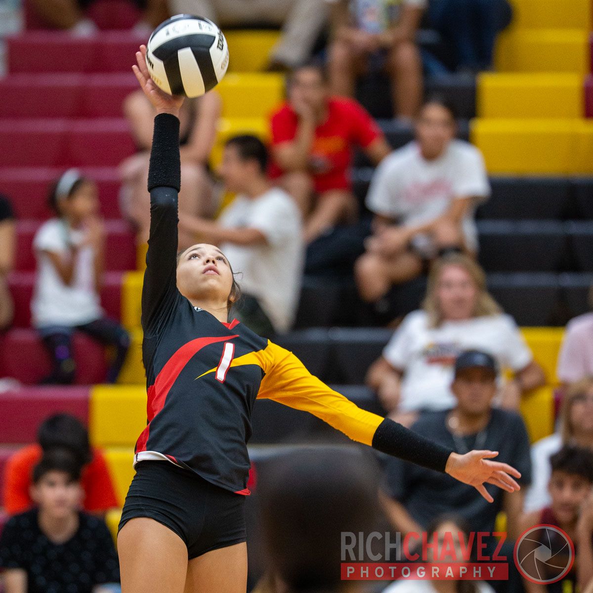 nmvolleyball's tweet photo. An impressive debut by Cen10 freshman Tess Fuqua against El Paso Franklin on Tuesday night. #CentennialHawks #NMVolleyball https://t.co/nl4ippjJrc