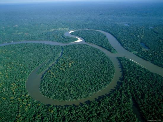 erudizel's tweet photo. What happened to the beauty of Amazon? Where is the green view? What we clearly see right now is the nonstop fire. Let it stop and bring the beauty of Amazon back. #PrayforAmazonas https://t.co/ZTvVkKLBTA