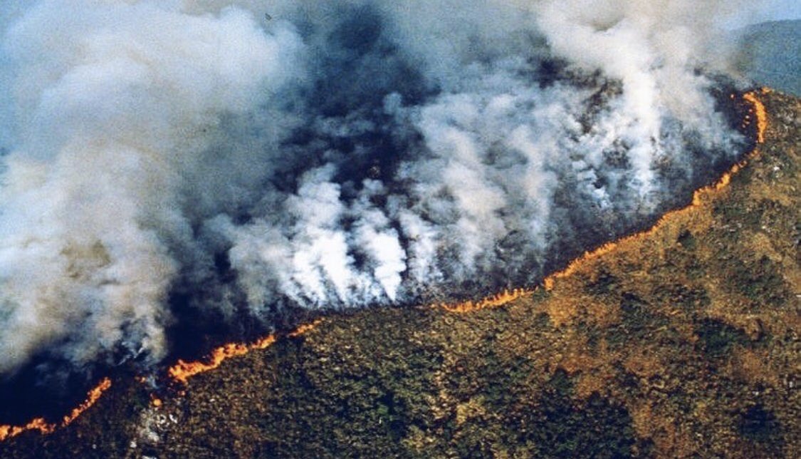 diegogzo's tweet photo. Dolor. 😢 #Amazonas #amazonasenllamas https://t.co/A3FBXvtAZ4