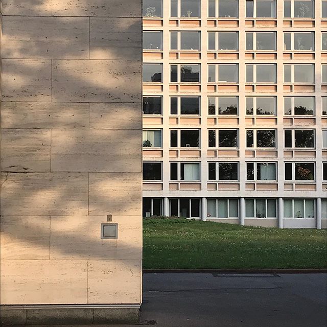 wingertsdaily's tweet photo. Schaumainkai in der Abendsonne.
#ffm #frankfurt #frankfurtammain #igffm #igersfrankfurt #abendsonne https://t.co/SPoMWaCooN https://t.co/VY6GsGNud9