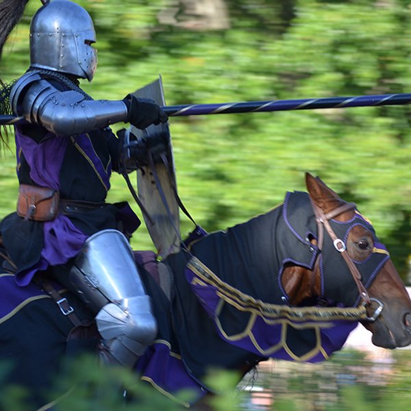 VisitKCK's tweet photo. The 10 day countdown to the 2019 season of @KCRenFest starts today! 🎉 We're giving away a pack of four FREE tickets to one lucky winner!

To enter: 1) Follow @VisitKCK and @KCRenFest 2) FAV + RT this tweet. A winner will be randomly chosen Friday, August 23rd at 12:00 PM. https://t.co/Asp4n4ZcFe