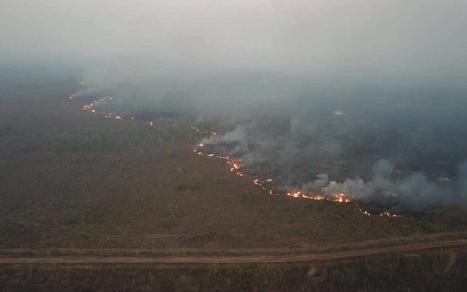 minthkook's tweet photo. Los humanos son lo peor que puede existir en este planeta, como no es su mmd esa de Francia ahora si nadie esta diciendo nada,  recaudaron dinero en chinga para la cosa esa y para apagar el incendio de Amazonas nadie hace nada ni lo pasan en tv!
ABRAN LOS OJOS!
#PrayForTheAmazon https://t.co/3FLnE9kzCe
