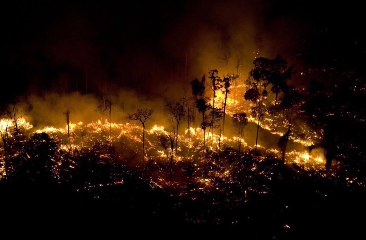 carlitokams's tweet photo. Ça fait 16 jours que l’Amazonie brule et  je l’apprend que maintenant les médias à part parler de booba kaaris et les gilets jaunes vous faites quoi ?? Merci Twitter #PrayforAmazonas https://t.co/glW4RoIEGV