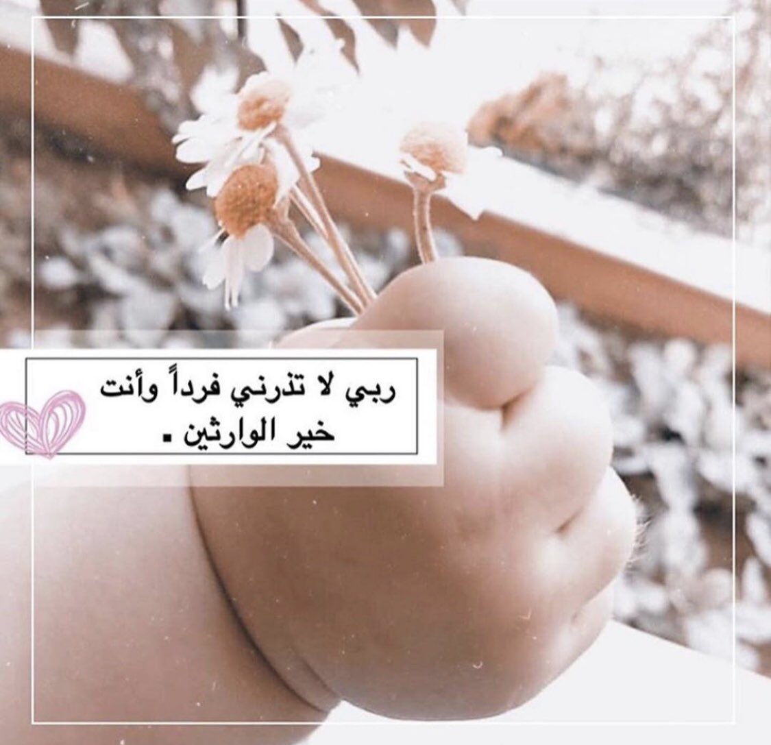 Shosho (@shosho82699919) on Twitter photo 