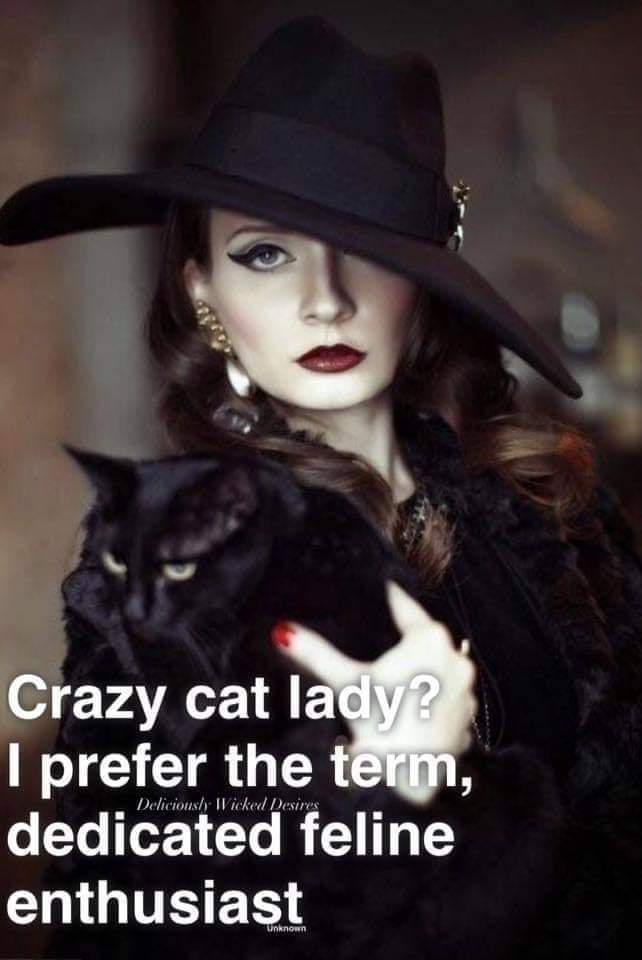JenMumOf3's tweet photo. Absolutely me. 😻
#dedicatedfelineenthusiast
#crazycatlady https://t.co/oIGHz93TzQ