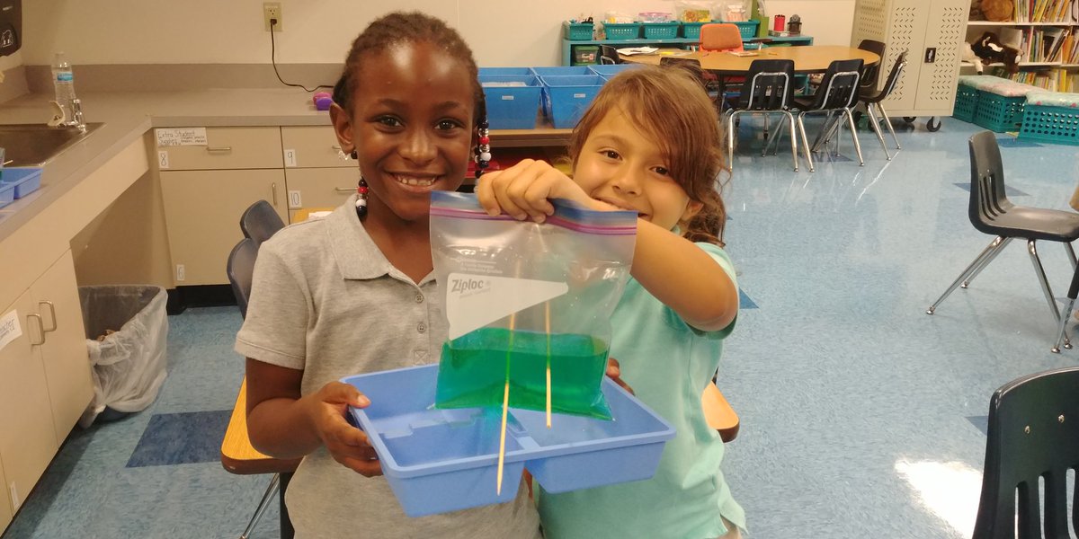 MissJTeaches's tweet photo. Our first experiment was a success! We asked a question, made a hypothesis, and recorded our observations! Tomorrow we conclude! @NPESharks @collierschools #science https://t.co/ZearfjnXD0