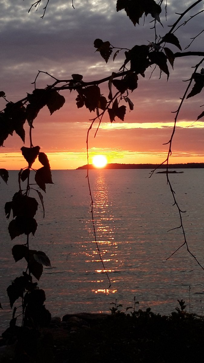 TKValko's tweet photo. @MaipuMaire 
Kesä jatkuu vaikkakin näkyy jo syksyn merkkejä https://t.co/70uLNL9L83