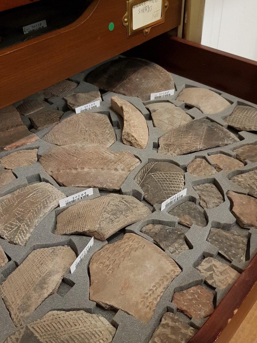 Beket_Aten's tweet photo. More insanely gorgeous @PetrieMuseEgypt object cutouts, just because #happyhumpday #objectpacking #museumporn https://t.co/pkHsUoKE36