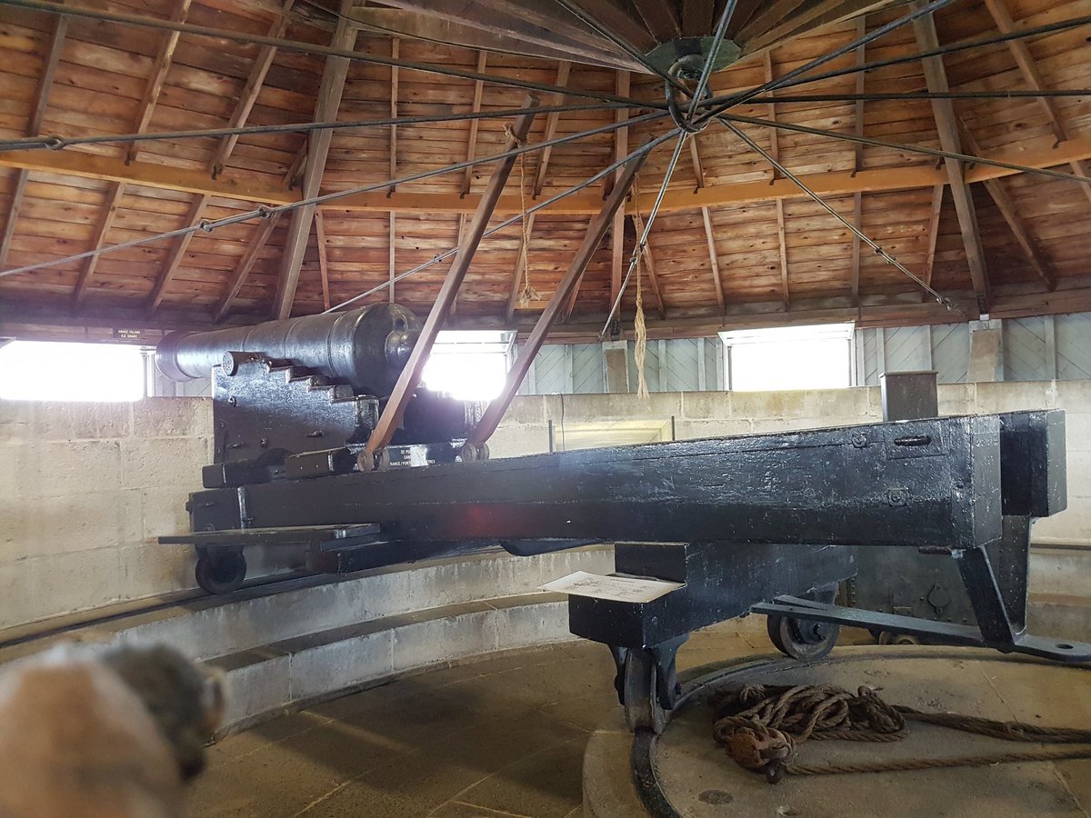 SC_Museum's tweet photo. We don't have any cannons in our collection to post for #MuseumCannonDay but #TweetBison has visited several in his day. https://t.co/SDpkGtCXSN