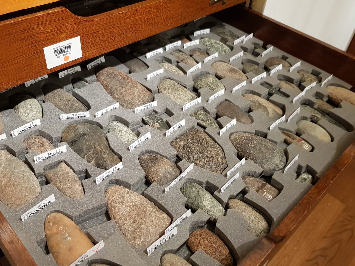 Beket_Aten's tweet photo. More insanely gorgeous @PetrieMuseEgypt object cutouts, just because #happyhumpday #objectpacking #museumporn https://t.co/pkHsUoKE36