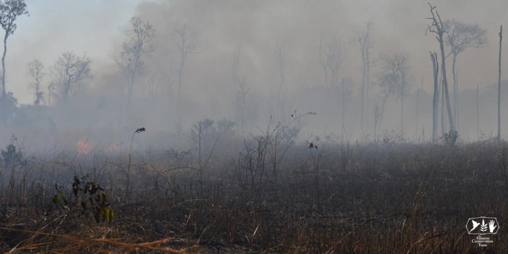 The Amazon—home to 1 million indigenous people and the Earth's richest biodiversity—is on fire. For 3 weeks, over 73,000 fires have been detected with no signs of stopping. The loss of the forest is accelerating climate change for us. This is urgent! #PrayforAmazonia