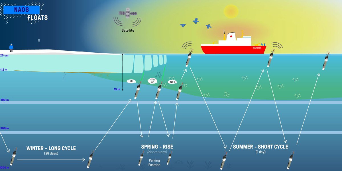smith2_gregory's tweet image. New article just published (#oceanobs19 white paper): Polar Ocean Observations: A Critical Gap in the Observing System and Its Effect on Environmental Predictions From Hours to a Season. #yopp #mosaic #polarprediction.