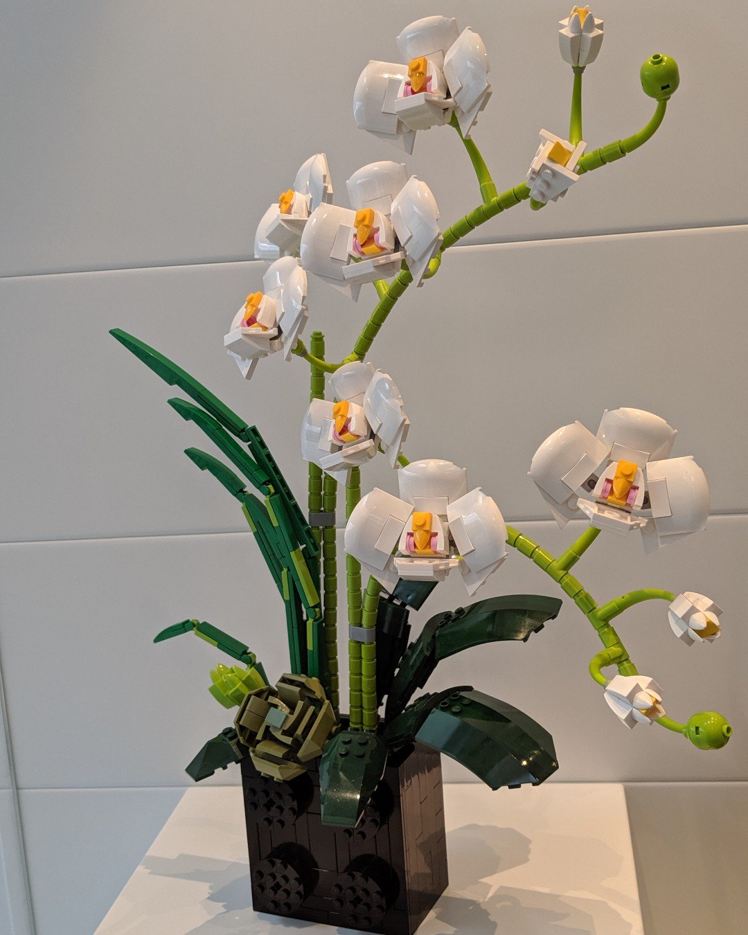 Joy Adare on X: A Lego Orchid Creation! I adore orchids - this makes me so  happy! #lego #legoland #denmark #billund #legohouse #orchid #orchids  #legoflowers #flowers #whiteorchids #creativity #creative #play  #legostagram #legofan #