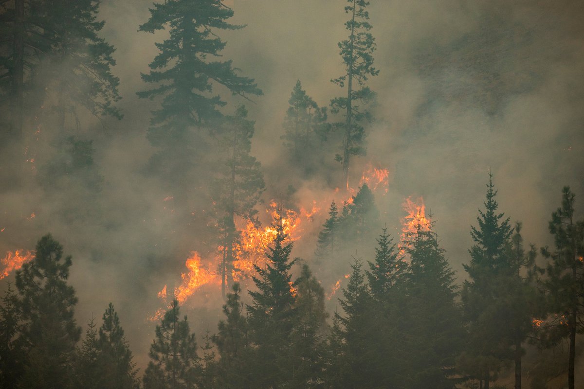 Hundreds of abandoned campfires have been found still burning in the Northwest these last couple of weeks. Please help us protect our beautiful forests by never leaving a campfire unattended! smokeybear.com