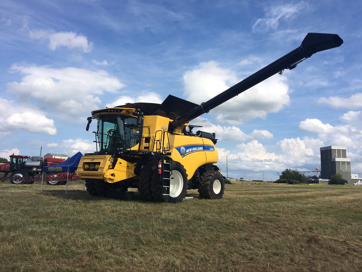 Kelly Daize tweet media