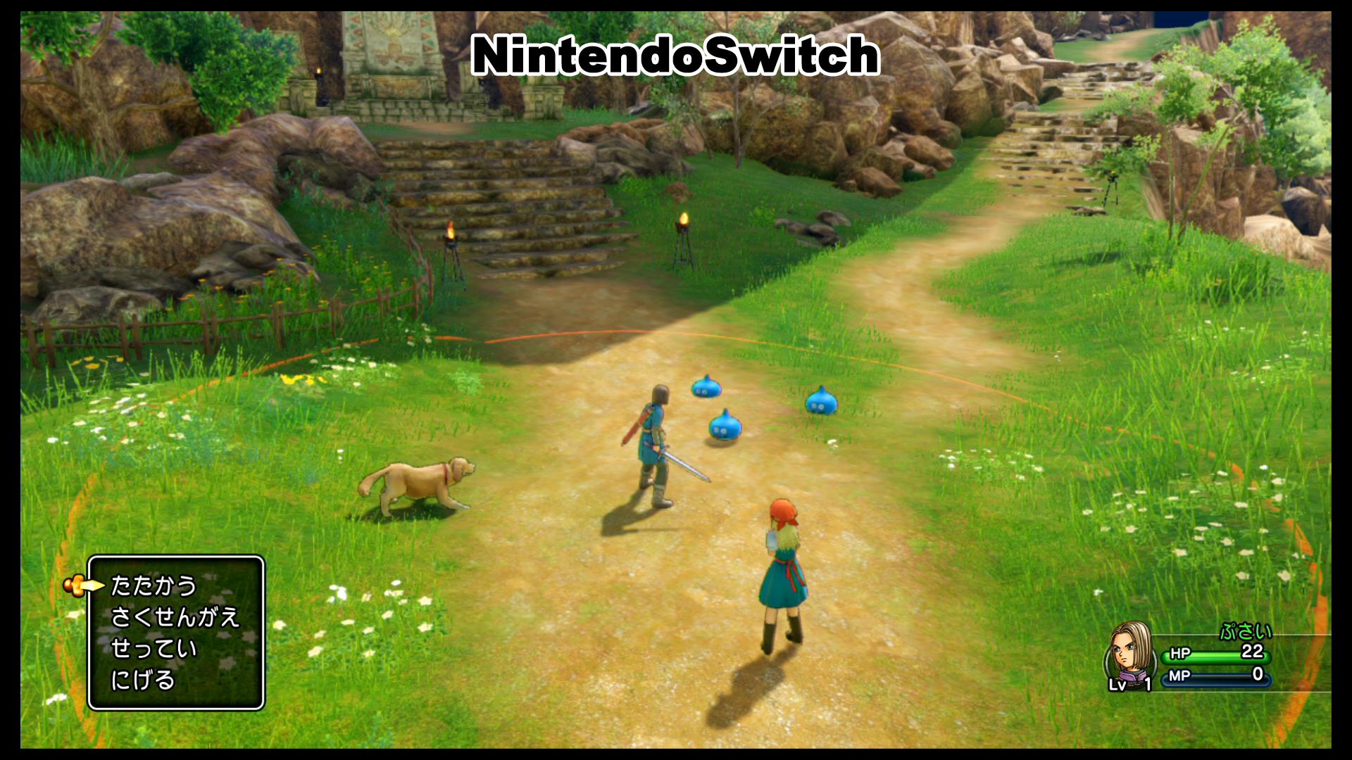 Pusai ゲームラボ最新号 6月22日発売 ドラクエ11のps4版とスイッチ版の比較 予想どおりスイッチ版は解像度も低く オブジェクトも少ない それでも頑張ってはいるほうだとは思う ドラクエ11s T Co Br01kcrnxq Twitter