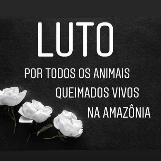 gladsnaylopes's tweet photo. #triste #PrayforAmazonas #amazoniaemchamas #socorroparaosanimais 
#amazonaspedesocorro https://t.co/sP4yFYeANL
