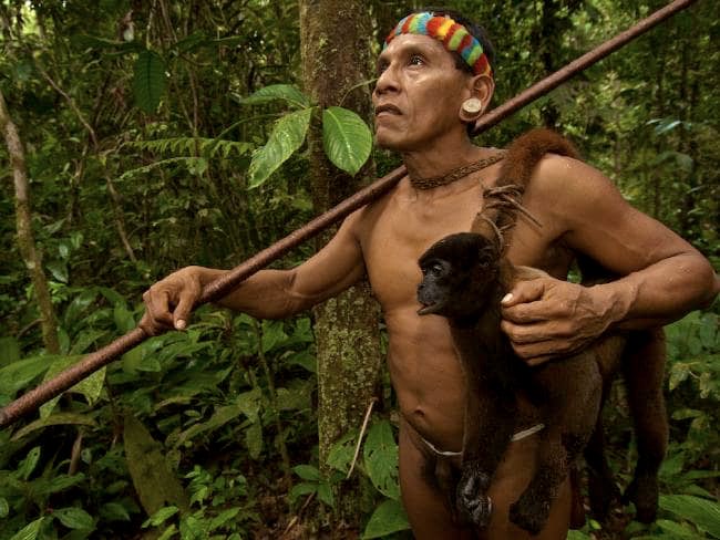 angelicheavenn's tweet photo. Lets not forget about the Amazon Indigenous people. I hope they are fine💔 #PrayforAmazonas https://t.co/Zdb6PunbrI