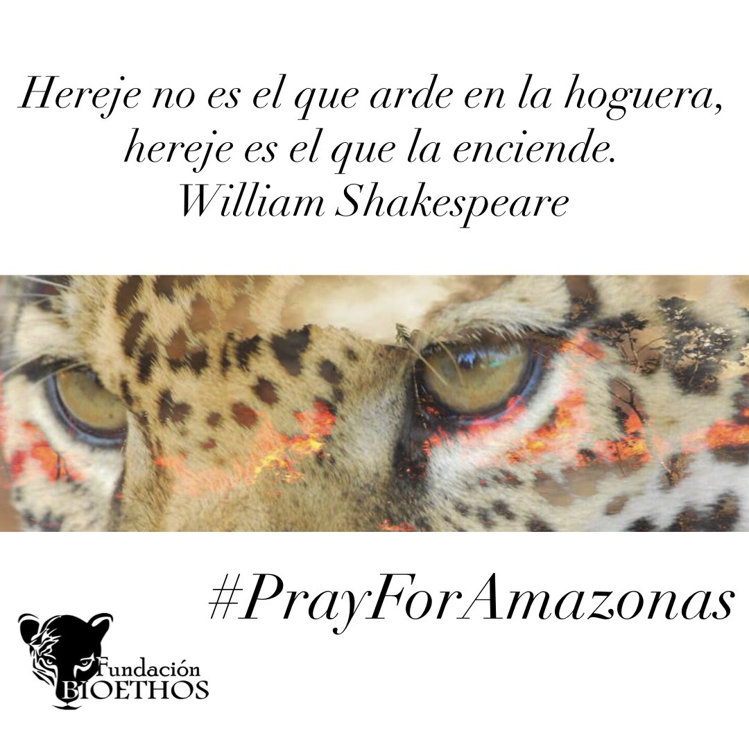 bioethoscol's tweet photo. Hereje no es el que arde en la hoguera, hereje es el que la enciende.
William Shakespeare.
#PrayForAmazonas #Bioethos https://t.co/mZNXC9vUx4