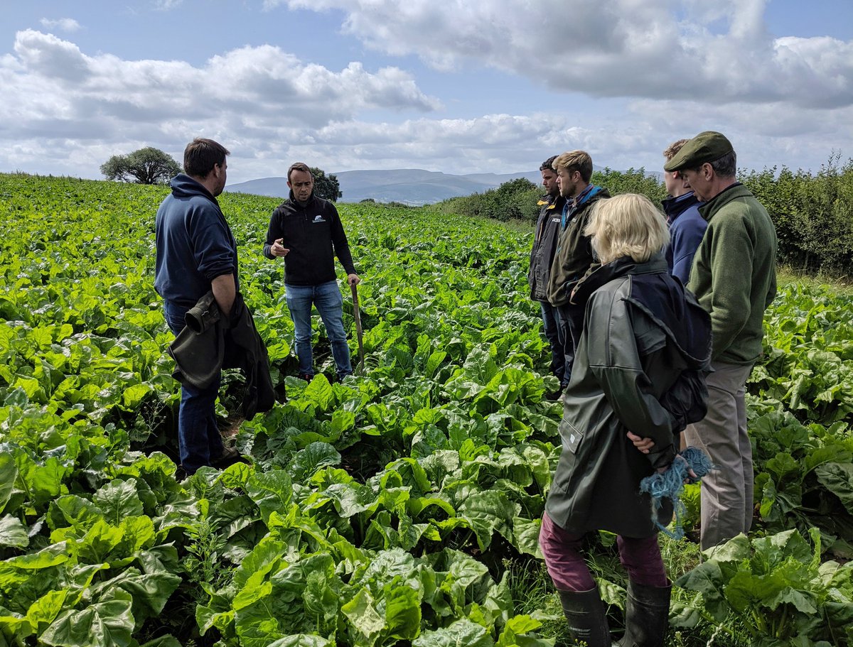 WholehouseFarm's tweet photo. Pleasure to host the #prosperfrompasture discussion group yesterday at #wholehousefarm with @PrecGrazeWales, @pred_owen and @pughy399.
.
Fantastic group to be apart of and key in improving our grazing systems and strength our business.
.
@cyswlltffermio #farmmax #precisiongraze https://t.co/kF0MfVTYNR