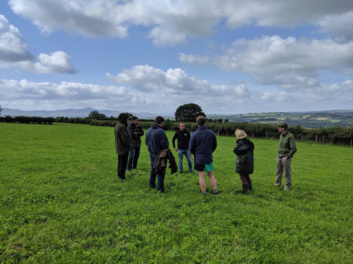 WholehouseFarm's tweet photo. Pleasure to host the #prosperfrompasture discussion group yesterday at #wholehousefarm with @PrecGrazeWales, @pred_owen and @pughy399.
.
Fantastic group to be apart of and key in improving our grazing systems and strength our business.
.
@cyswlltffermio #farmmax #precisiongraze https://t.co/kF0MfVTYNR