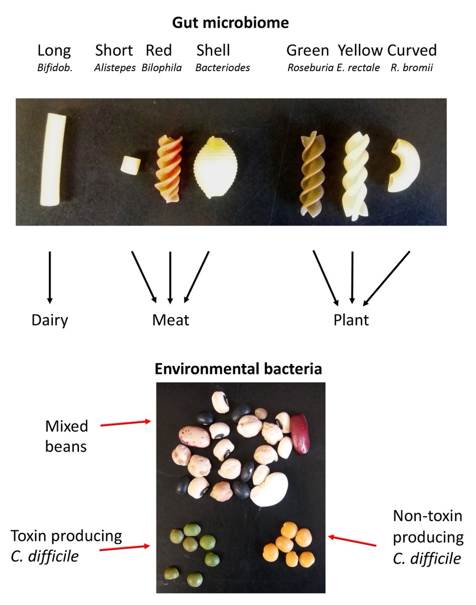 book laboratory methods of organic