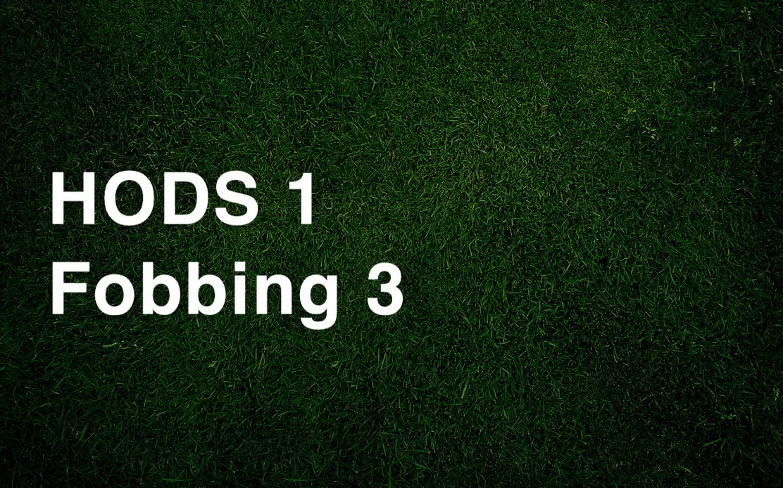 HODS FC tweet media