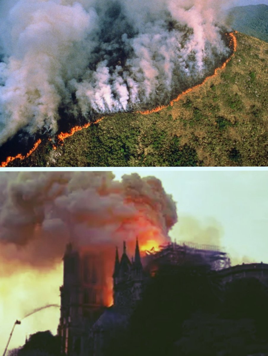 QuiTuSuisJe's tweet photo. #PrayforAmazonas 
Amazonia burning : Not interesting...
Building Notre-Dame burning : 24/7 information https://t.co/1DAz13FEOL