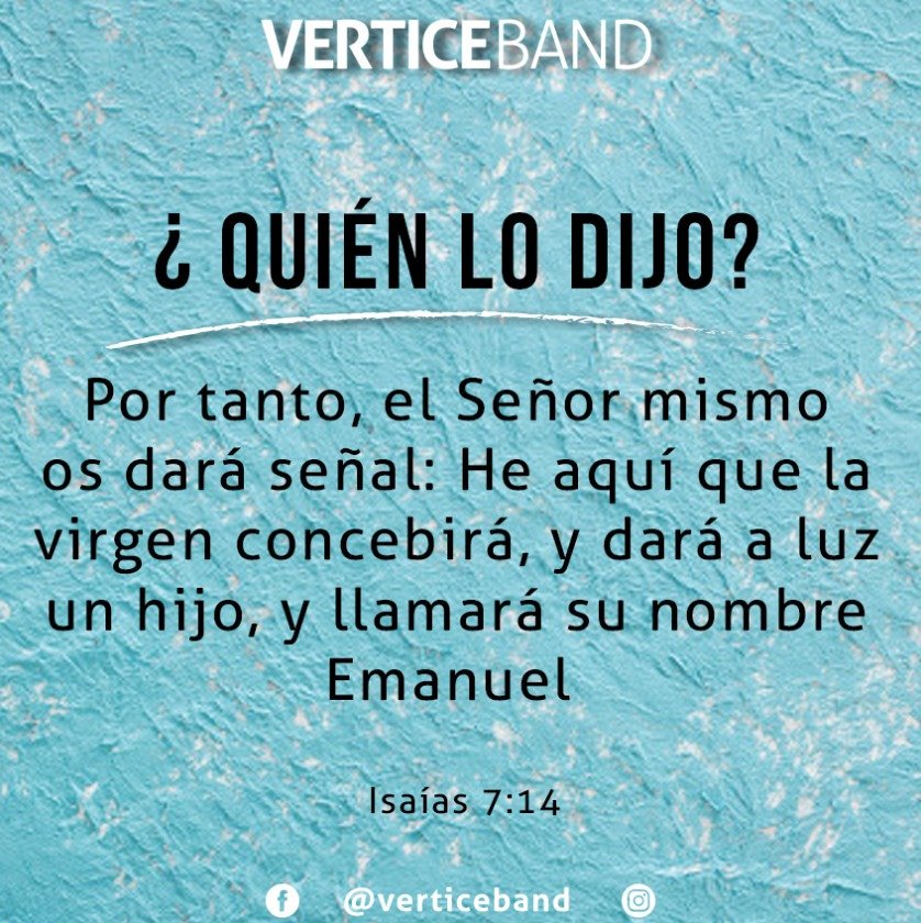VÉRTICE band tweet media