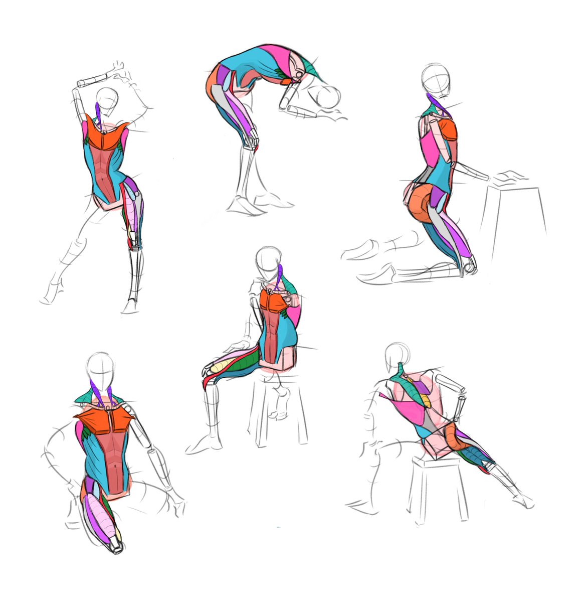 _heatherdream_'s tweet photo. my anatomy class weekly update. the upper leg added #cgma #analyticalfiguredrawing #anatomy #torso #upperleg #draw #drawing https://t.co/MK8Xblm6Zm