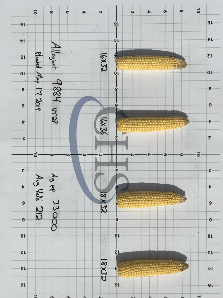 LonghenryAG's tweet photo. #AllegiantSeed Corn Yield check from Chad Naber’s Allegiant APP Plot. Samples taken randomly from better areas of plot. 9799, 9884, 10007! https://t.co/c9TX6Ewiyu