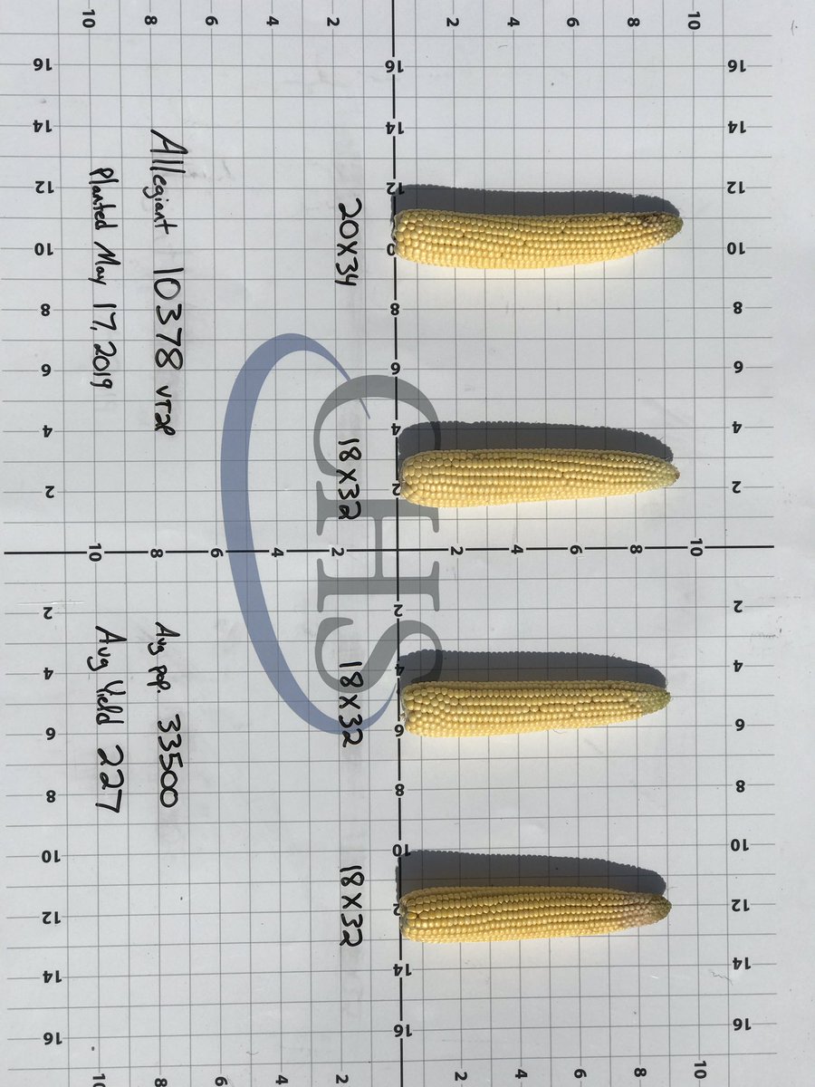 LonghenryAG's tweet photo. #AllegiantSeed Corn Yield check from Chad Naber’s Allegiant APP Plot. Samples taken randomly from better areas of plot. 10211, 10378, 10454! https://t.co/jLqLbbhiTJ