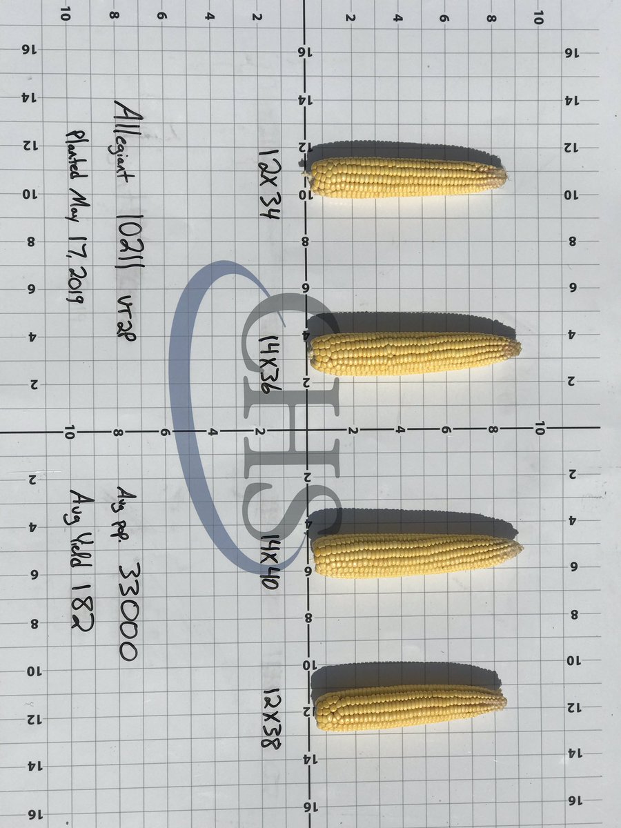 LonghenryAG's tweet photo. #AllegiantSeed Corn Yield check from Chad Naber’s Allegiant APP Plot. Samples taken randomly from better areas of plot. 10211, 10378, 10454! https://t.co/jLqLbbhiTJ