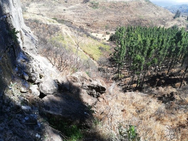 javierS_gastro's tweet image. Nuestras Mieles, Quesos, Vinos, Frutas, Verduras, etc nos necesitan más que nunca. Pequeños gestos de cada uno de nosotros, servirán tanto como el agua que descargaron nuestros héroes por tierra y aire. #IFValleseco #IFGranCanaria 

alahoradecomer.com/el-sector-prim…