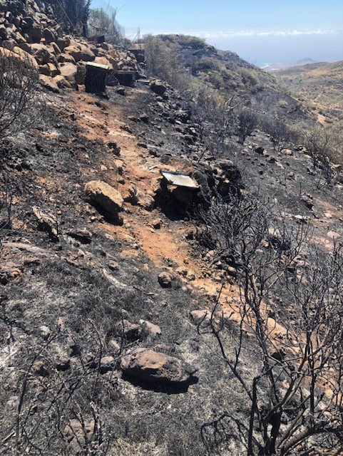 javierS_gastro's tweet image. Nuestras Mieles, Quesos, Vinos, Frutas, Verduras, etc nos necesitan más que nunca. Pequeños gestos de cada uno de nosotros, servirán tanto como el agua que descargaron nuestros héroes por tierra y aire. #IFValleseco #IFGranCanaria 

alahoradecomer.com/el-sector-prim…