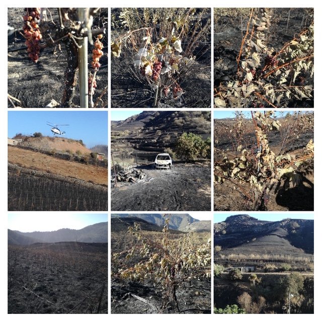 javierS_gastro's tweet image. Nuestras Mieles, Quesos, Vinos, Frutas, Verduras, etc nos necesitan más que nunca. Pequeños gestos de cada uno de nosotros, servirán tanto como el agua que descargaron nuestros héroes por tierra y aire. #IFValleseco #IFGranCanaria 

alahoradecomer.com/el-sector-prim…