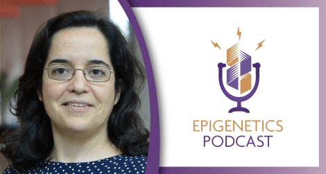 activemotif's tweet photo. Check out our new #podcast episode with Dr. Ana Pombo to learn about the "Interchromatin Network" and "Strings and Binders Switch" models of #chromatin organization. https://t.co/6HHx9Wgpom #epigenetics https://t.co/P5NPvuuVrW
