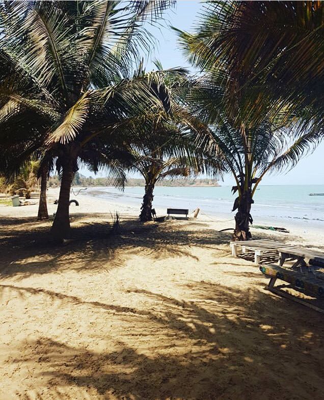 JungleInna's tweet photo. Gambian Beach...If your not going to the party you can escape here.... https://t.co/gd4kO1MpZJ