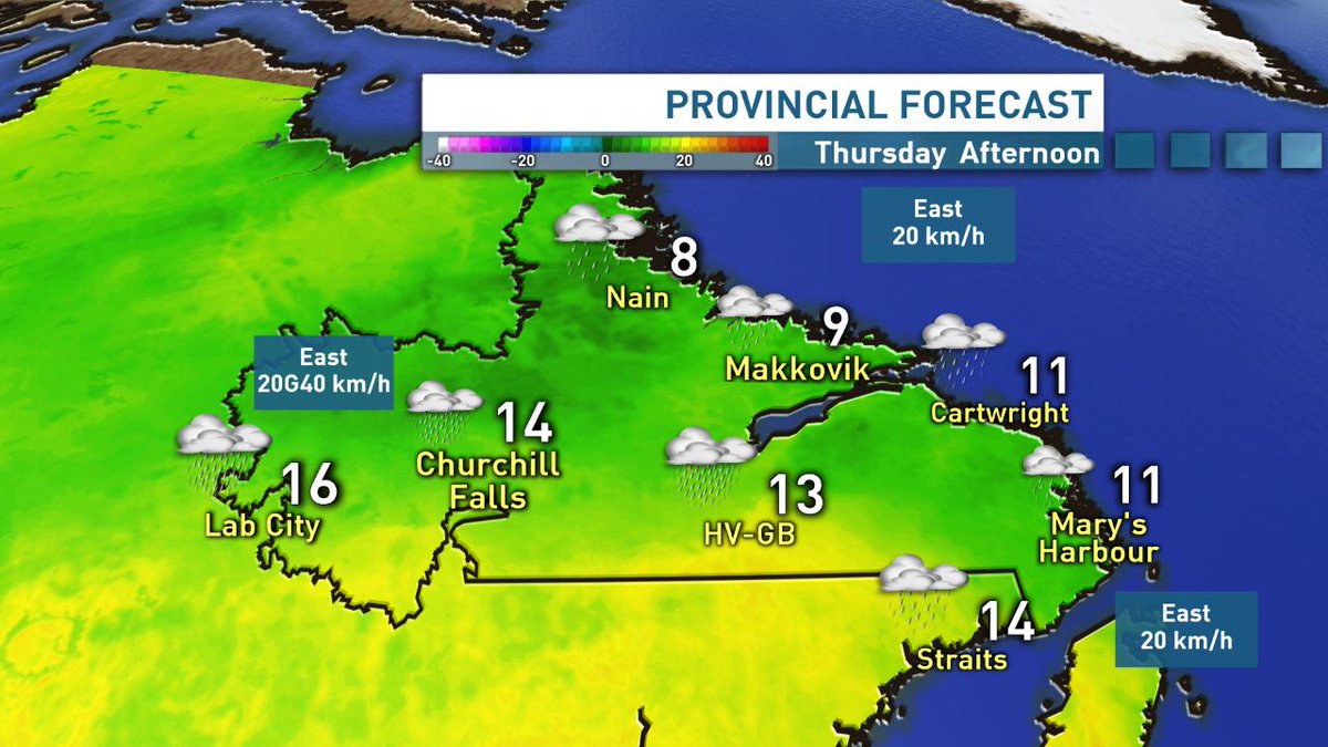 Ashley Brauweiler tweet media