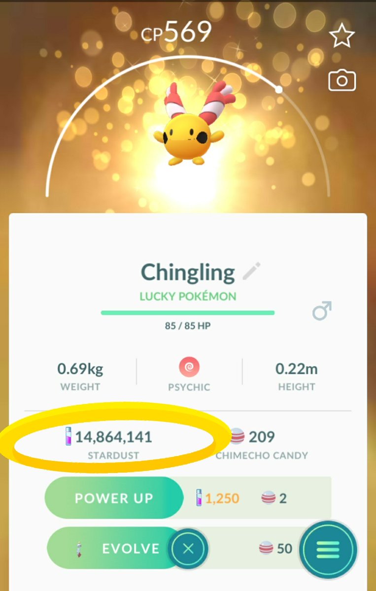 geekyemoKun's tweet image. The stardusts event in #PokemonGO was insane i literally cant feel my feet and back from walking and catching, photos below #chingling b4 and #ponyta after i have collected  2,526,344 mio now i will only spend 2 mio maxing and making more teams for pvp 💪🏿

#Pokemon #ポケモンGO