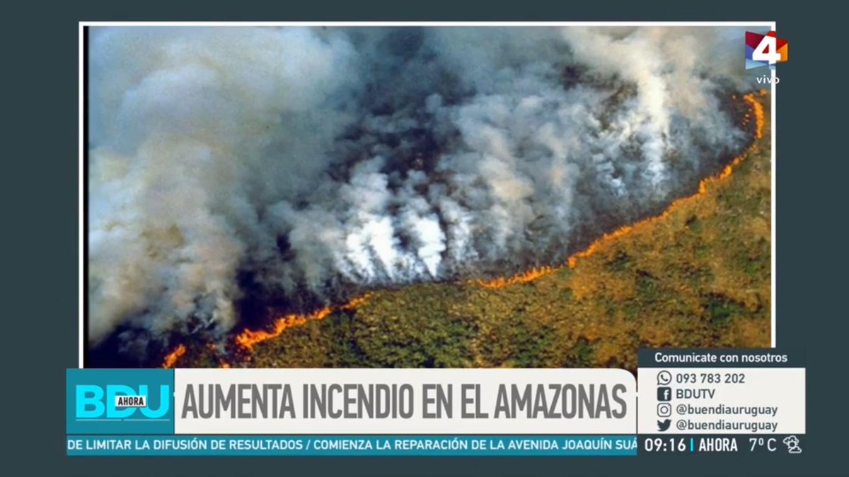 Canal 4 tweet media