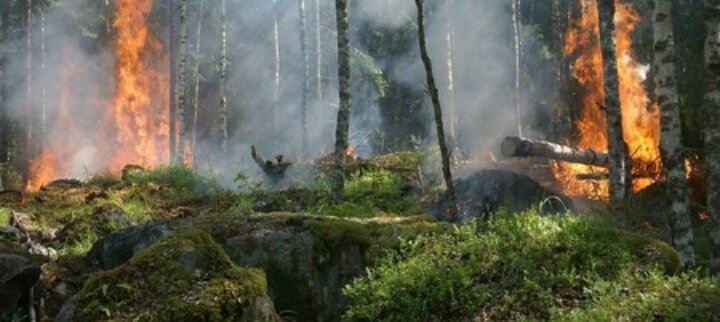 Infernus Gaming tweet media