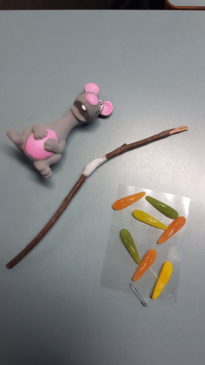 Clue #2 for #ANPSbookweek2019
I break my wand and throw up slugs as a result. Lucky my pet rat is there to help me!
<a href="/AuburnNthPS/">Auburn North PS</a>