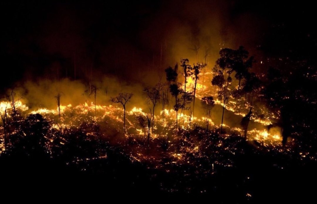 AknA___'s tweet photo. #PrayforAmazonas
Sa devient de plus en plus grave le poumon de la terre et entrain de prendre feu mais personne n'en parle comme si ils étaient habitué ou bien que cela n'est pas assez intéressant. Une ressource qu'il ne faut surtout pas négligées !! 🙏🏻 https://t.co/noy254N8qI